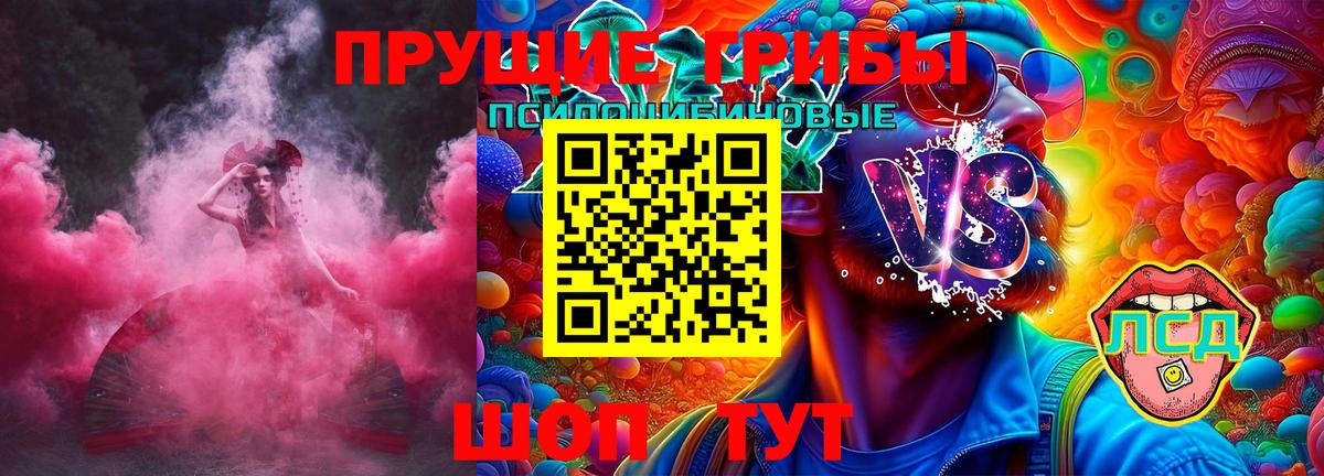 Чехов  Псилоцибиновые грибы Psilocybine cubensis  Вход с VPN 